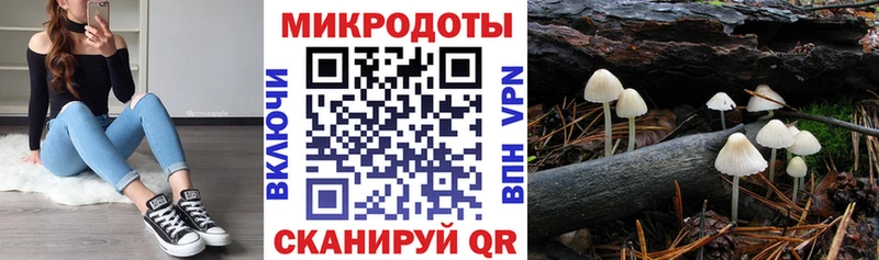 закладка  Светлый  Псилоцибиновые грибы GOLDEN TEACHER 